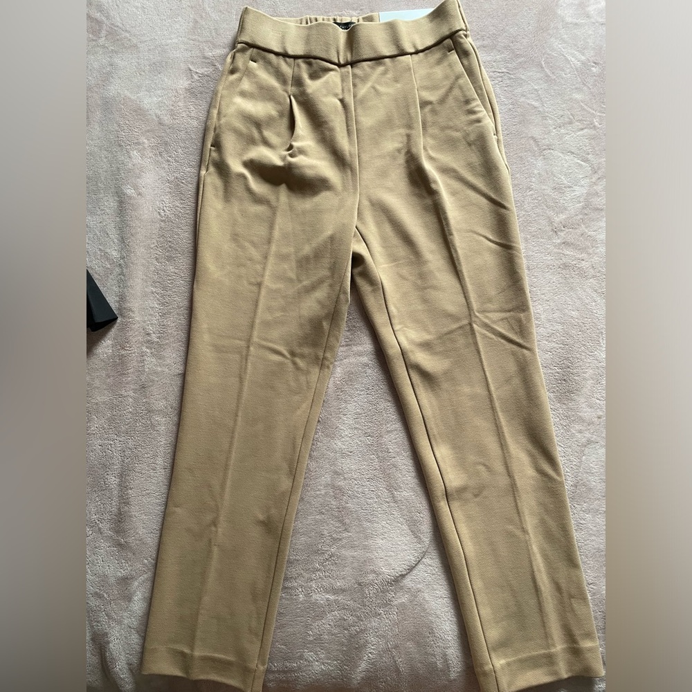 Ann Taylor High Rise Petite Pants